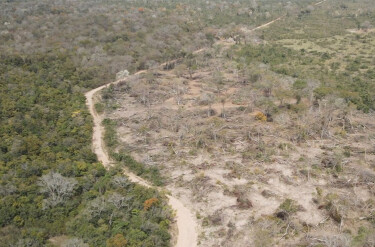 BNDES chega &agrave; marca de R$ 20,8 milh&otilde;es de cr&eacute;dito evitado a propriet&aacute;rios de terras de Mato Grosso do Sul com ind&iacute;cios de desmatamento ilegal