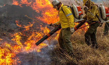 Governo repassa R$ 337 milh&otilde;es para combate a inc&ecirc;ndios e desmatamento 