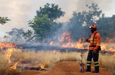 Bombeiros de MS se preparam para temporada de inc&ecirc;ndios florestais com treinamentos e a&ccedil;&otilde;es em campo