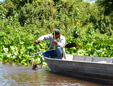 INSS inicia pagamento de R$874 milh&otilde;es a mais de 149,5 mil pescadores artesanais