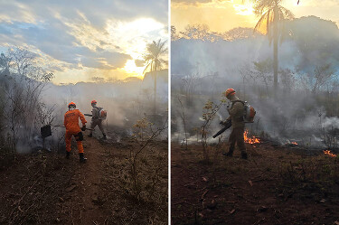 Corpo de Bombeiros registra tr&ecirc;s inc&ecirc;ndios em vegeta&ccedil;&atilde;o nas &uacute;ltimas 24 horas em Corumb&aacute;