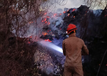 Queima de lixo pode ter causado inc&ecirc;ndio em &aacute;rea de mata &agrave;s margens do Rio Paraguai em Corumb&aacute;