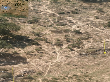 MPMS investiga desmatamento de mais de 750 hectares no Pantanal de Corumb&aacute;